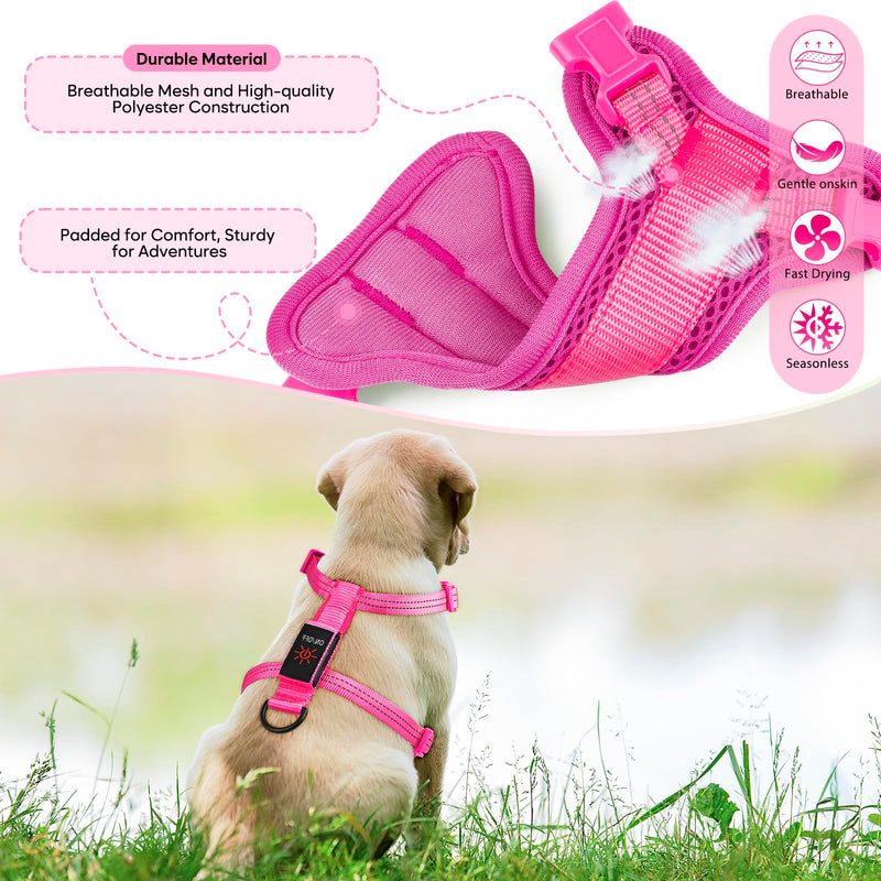 Light Up Small Dog Harness, LED Rechargeable Harness for Small Sized Dog, No Pull Reflective Adjustable Dog Vest Harness with Soft Light, Glow-in-The-Dark for Night Safety Walking (Pink) Pink - PawsPlanet Australia