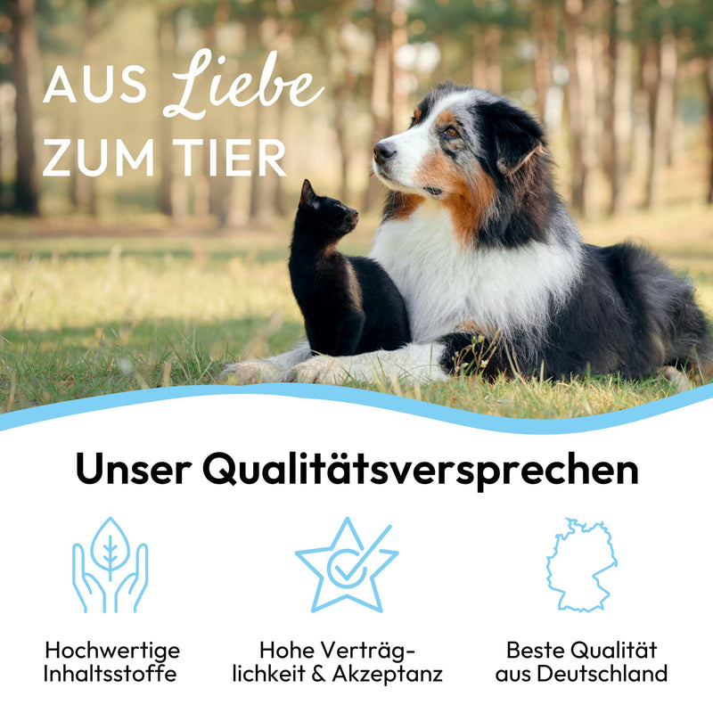 PHA Zahnschutz Plus Dental Powder for Dogs and Cats - Reduction of Tartar and Tartar, Against Bad Breath, Dental Care Dog Cat Teeth Cleaning, 150g 150g