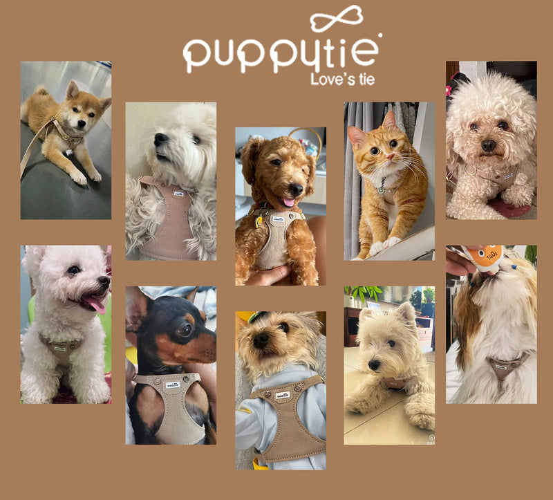 Puppytie No Pull xs Dog Harness with Multifunction Dog Leash,Soft Adjustable No Choke Escape Proof Pet Harness Vest,Denim Mocha Brown,XXS XXS Pocket-Brown - PawsPlanet Australia