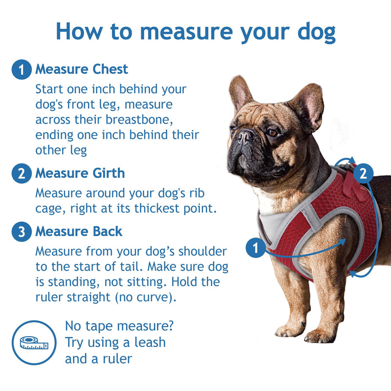 Dog Harness (Chest 20.5"-22", Weight 20–25 lbs) Athletica Adjustable Heavy Duty No Choke Puppy Vest for Small Dogs Lightweight Air Mesh, Reflective, Puppy Essentials – Blue, X-Large X-Large (Chest: 20.5-22") - PawsPlanet Australia