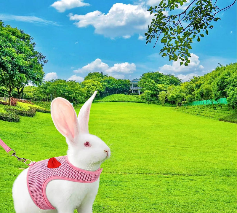 2 Pack Adjustable Bunny Rabbit Harness and Leash Set Breathable Mesh Vest Harness for Rabbits Kitten Ferret Puppy Small Pets Walking Supplies-Grey&Pink,S - PawsPlanet Australia