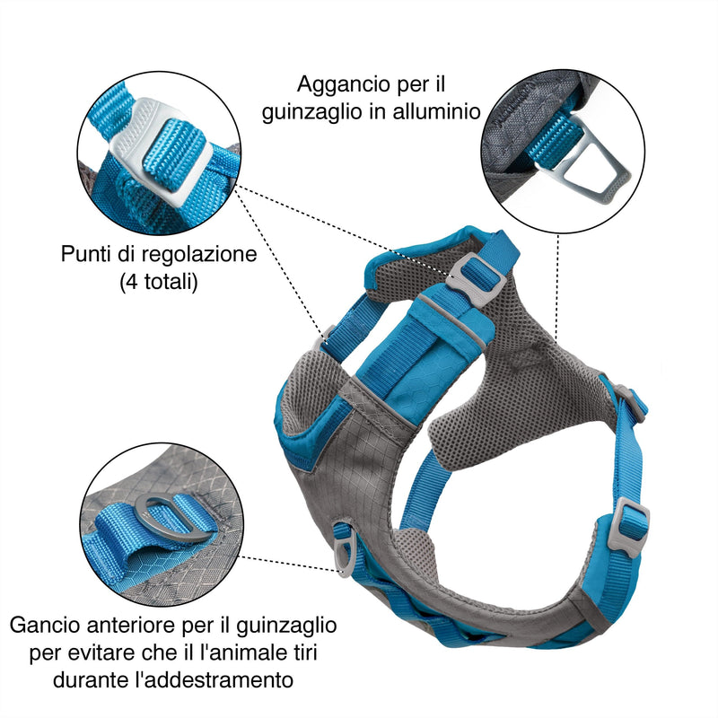 Kurgo Journey Air Dog Harness - Secure Fit for Active Dogs - Padded Chest - Lightweight Ripstop Fabric - Breathable Mesh - Reflective Trim - Back Assist Handle - Coastal Blue - Small Small (Pack of 1) - PawsPlanet Australia