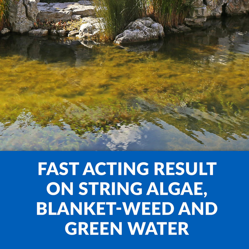 CrystalClear Algae D-Solv Pond Algae Control, Fast-Acting EPA Registered Algaecide, Use in Fountains & Outdoor Ponds Containing Koi & Other Fish, Treats 5,760 Gallons, 16 Ounces - PawsPlanet Australia