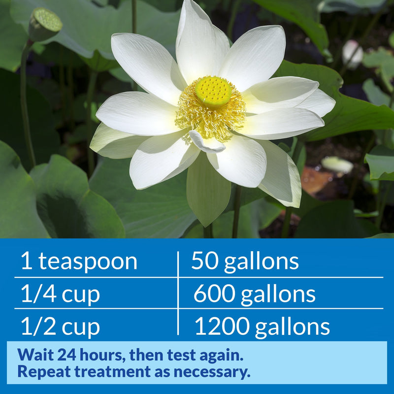 API POND pH DOWN Pond Water pH Reducing Solution 16-Ounce Bottle, White, Model:170B - PawsPlanet Australia