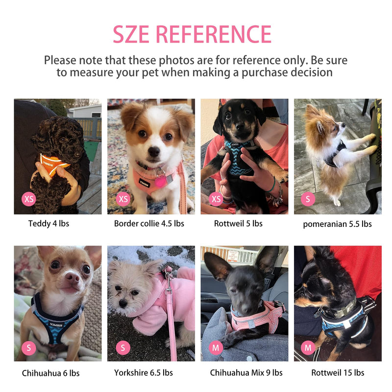 Dog Harness for Small Dogs and Leash Set, Honeycomb Grid, Reflective Lightweight Harness & Anti-Twist Pet Lead (Multi Color, Size: XS-S-M) (S, Rose red) S - PawsPlanet Australia
