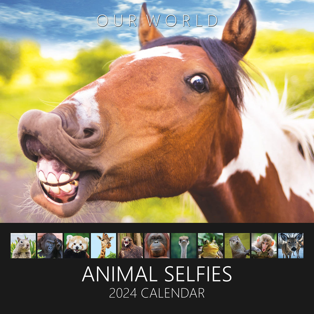 Animal Selfies Calendar 2024 - Funny Animal Calendar 2024 Month to View Family Planner & Daily Organiser. Funny Calendar Great Gift for Animal Lovers by Our World - PawsPlanet Australia