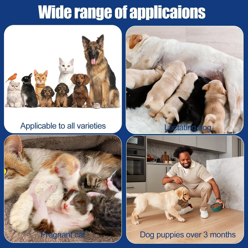 MagiSel Wound Gel for Dogs, Wound Ointment for Dogs and Cats, Natural Ingredients, for Skin Infections and Wounds, Reduces Itching and Skin Irritation, Suitable for All Animal Species (20 ml)
