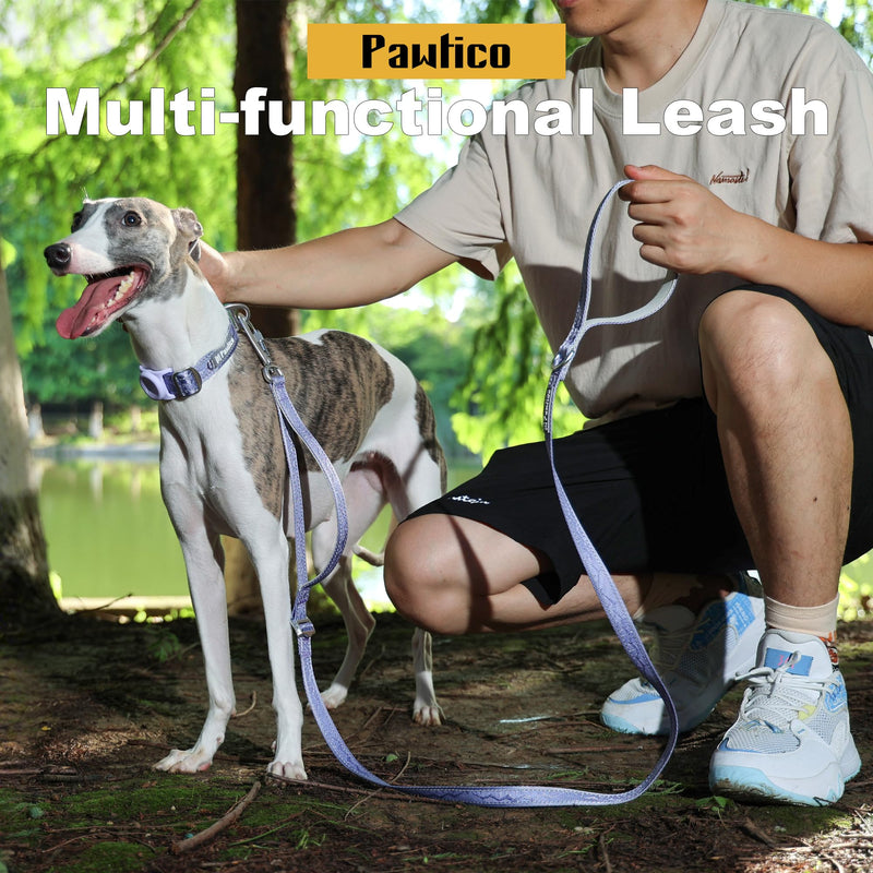 Aluminum Dog Leash 3-in-1 with Car Seatbelt Clip, Ultra-Lightweight 5ft Lead with Padded Traffic Handle – Durable for Small, Medium & Large Dogs(Lavender Purple, M：Width 3/4" Length 5') Lavender Purple M：Width 3/4" Length 5' - PawsPlanet Australia