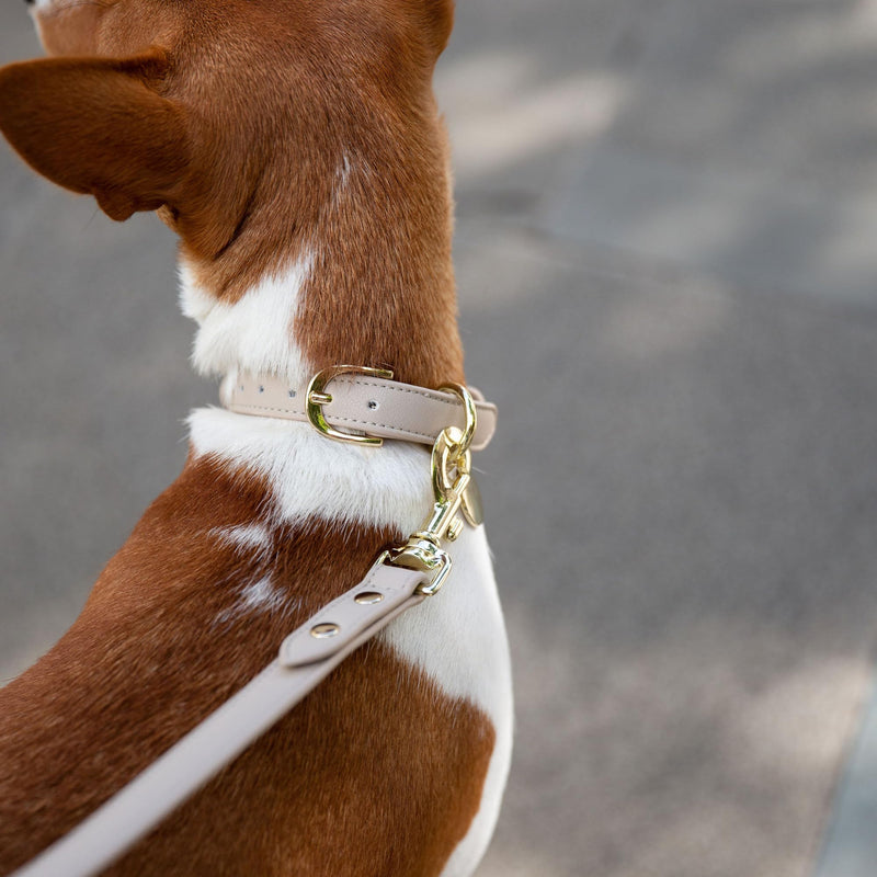NINA WOOF Leather Dog Leash - Cupertino - Beige Slim Leash with Reinforced Hardware, European Design Soft Dog Collars, Harnesses & Leashes, 4ft - PawsPlanet Australia