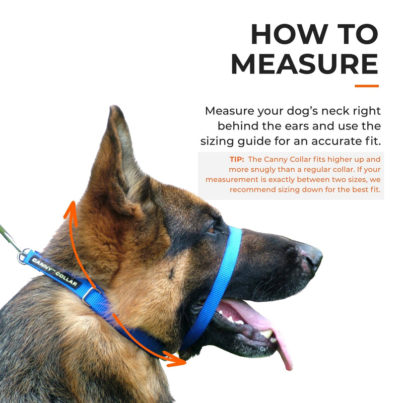 Canny Collar No-Pull Dog Head Collar | Gentle & Humane Leash Training Aid for Small Dogs | Stops Pulling – Comfortable Control for Walking & Obedience | Red, Size 2 11-13in neck - Size 2 - PawsPlanet Australia