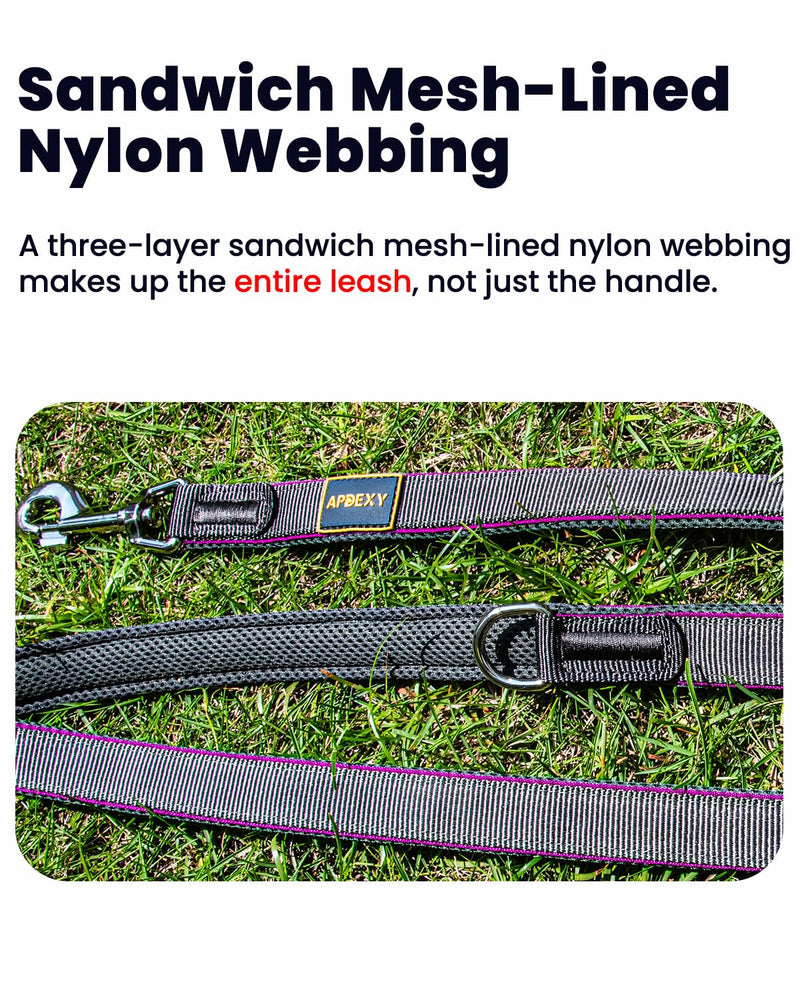 Dog Leashs for Medium Dogs, Heavy Duty Two Handles for Extral Control and Training, Three-Layer Sandwich Mesh-Lined Nylon Webbing, Sturdy Metal Zinc Hook, 6FT Long (Purple/Grey, 3/4'' X 6ft.) 3/4'' X 6ft. Purple/Grey - PawsPlanet Australia