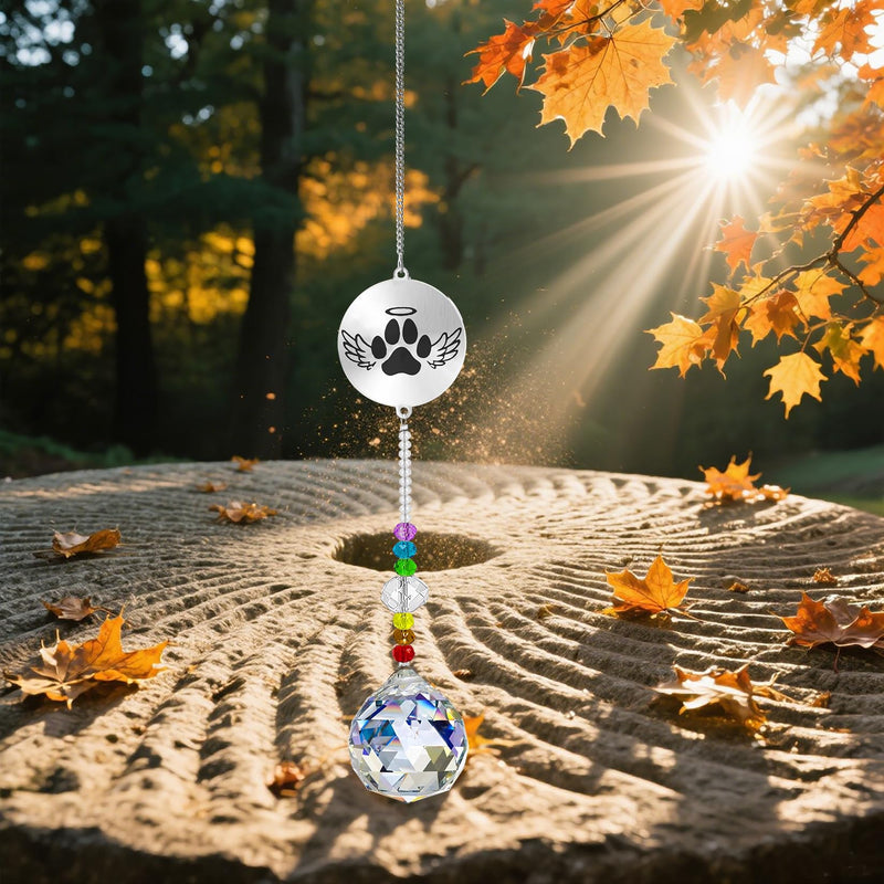 Dog Memorial Gifts for Loss of Dog, Pet Sympathy Gifts Crystal Window Suncatcher,Bereavement Memorial SunCatcher,Remembrance Pet Passing Away Loss(B) B - PawsPlanet Australia