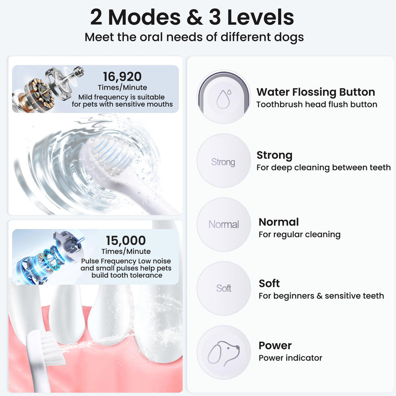 Dog Tooth Brushing Kit,3-in-1 Dog Teeth Cleaning Tools,Ultrasonic Electric Toothbrush & Plaque Remover for Dogs with Water Flosser for Teeth,2 Modes & 3 Intensity Levels,IPX7,1100mAh Battery - PawsPlanet Australia
