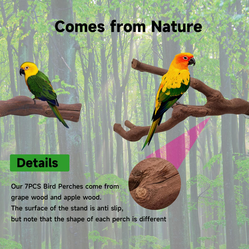 6PCS Bird Perches Natural Parrot Perch Stand for Cage, Grape Wood Stands, Bird Platforms, Parakeets Paw Grinding Fork Exercise Toys Set for Cockatiels, Conure, Parrot - PawsPlanet Australia