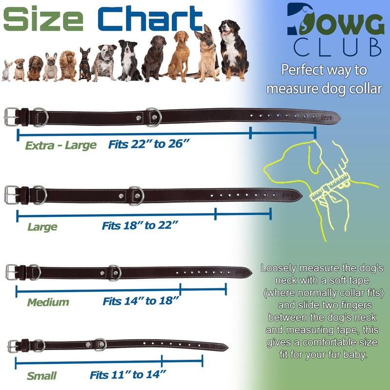 Genuine Leather Dog Collar, Made from Full Grain Hides, Heavy Duty, Adjustable, Ultra Soft, Supple, Comfortable, with Double D Rings (L (18”-22”), Rich Black) L (18”-22”) - PawsPlanet Australia