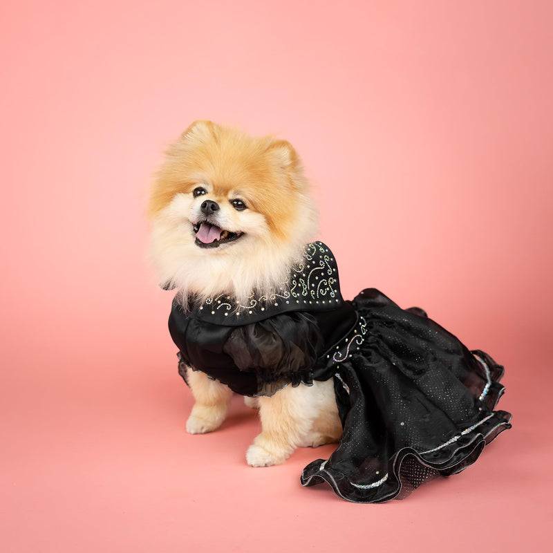 Doggy Parton Shimmering Evening Dress - XS X-Small Black - PawsPlanet Australia