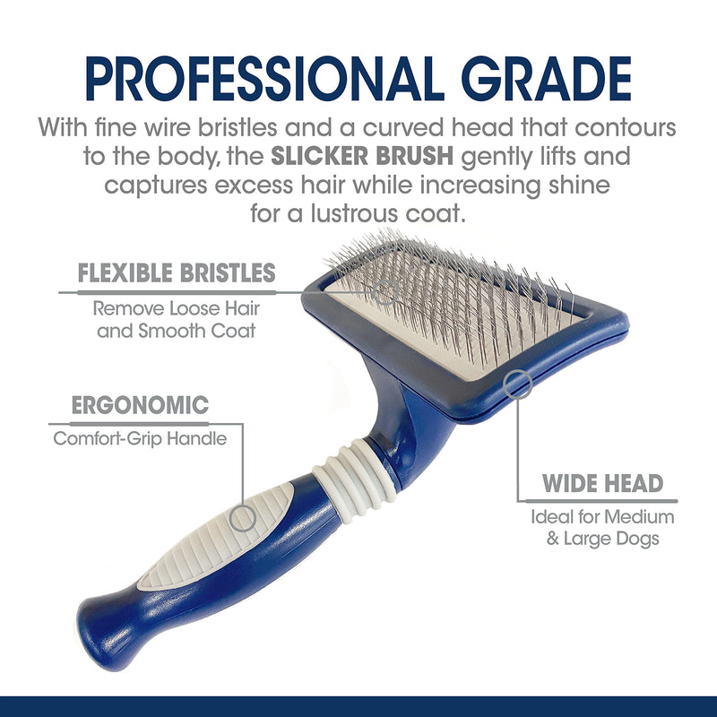 Four Paws Magic Coat Professional Series Grooming Brush for Dogs & Cats, Reduces Shedding, Stimulates Coat's Natural Oils, Ergonomic Design, Ideal for Medium, Long, Curly, and Wiry Coats - PawsPlanet Australia