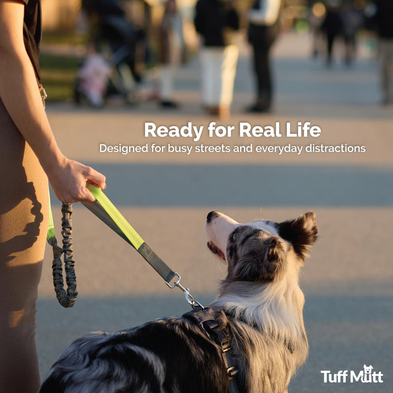 Tuff Mutt Hands Free Dog Leash for Walking Running Hiking, Waist Leash with Bungee, Adjustable Belt, Reflective Double Handle Design for Large Medium Dogs green/gray