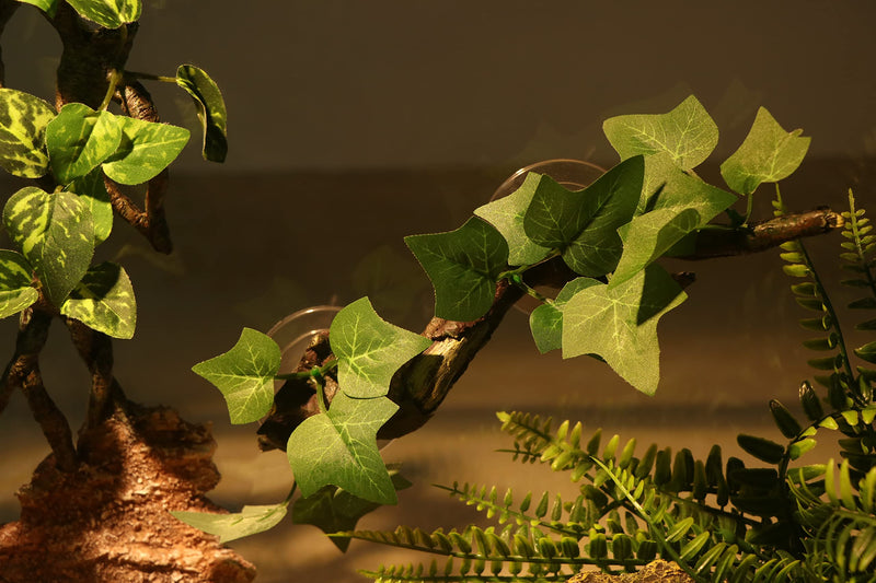 AQUA KT Reptile Corner Branch Terrarium Plant Decoration with Suction Cup for Amphibian Lizard Snake Climbing Climbing Branch - PawsPlanet Australia