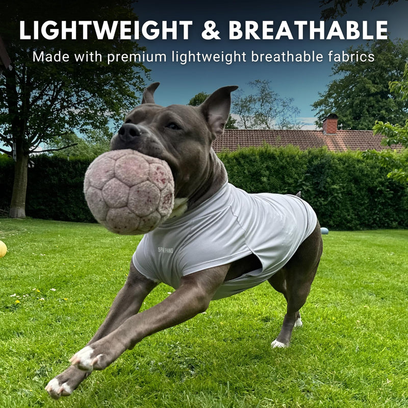 Spark Paws Sunblock Dog T-Shirt, SPF30 Protection, Lightweight Breathable Quick Dry for Dogs with Sensitive Skin - Blue & Grey (Set of 2) - 3XL 3XL: 60-80lbs - PawsPlanet Australia