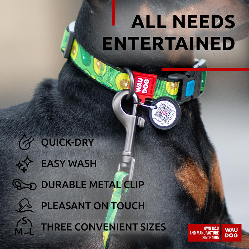WAUDOG Nylon Dog Leash for Small & Medium Dogs - 4 Ft Heavy Duty Leash for Large Breeds 4 Ft x 3/5" Wide Avocado - PawsPlanet Australia