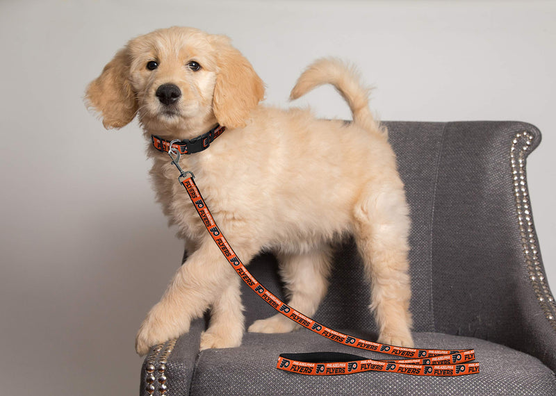 Pets First NHL Philadelphia Flyers Leash for Dogs & Cats, Medium. - Walk Cute & Stylish! The Ultimate Hockey Fan Leash!, Medium (4 ft Long x 0.62 in Width) (FLY-3031-MD) Medium (4 Ft Long x 0.62 In Width) - PawsPlanet Australia