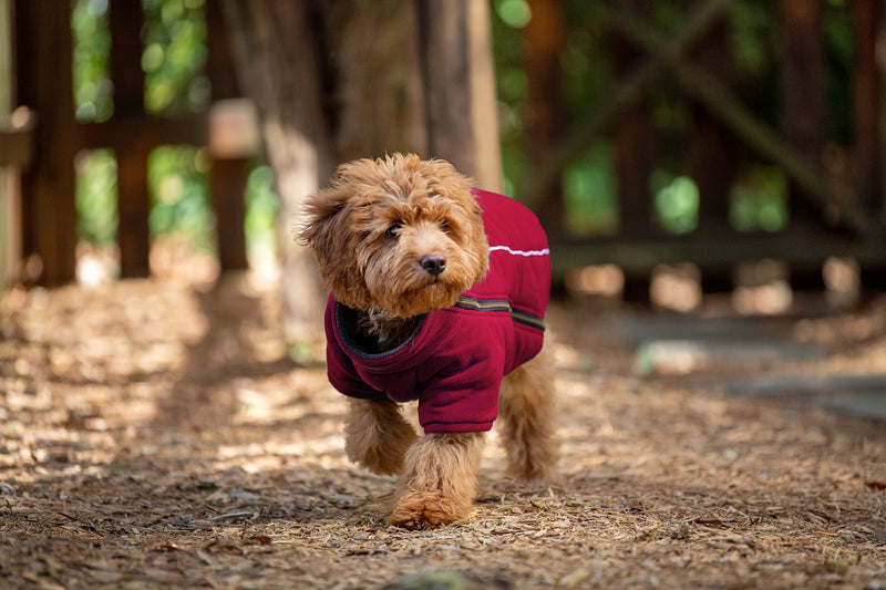 BoxDog Polar Fleece Warm Dog Jacket I Cold Weather Dog Coat | Dog Jackets Size XS, Small, Medium, Large, XLarge, XXL (Medium, Red)