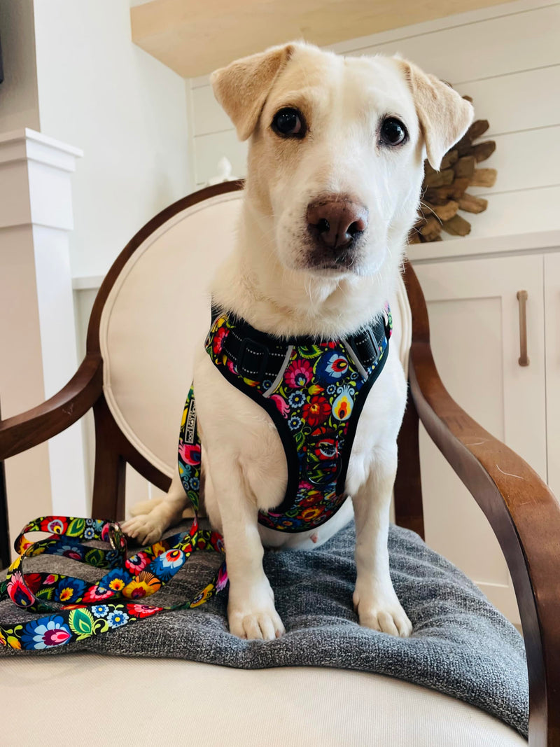 Lucky Love Dog No Pull Dog Harness, Adjustable and Easy to Walk, Cute Patterned Harness for Small Medium Large Male & Female Dogs - Blackbird, Small - PawsPlanet Australia