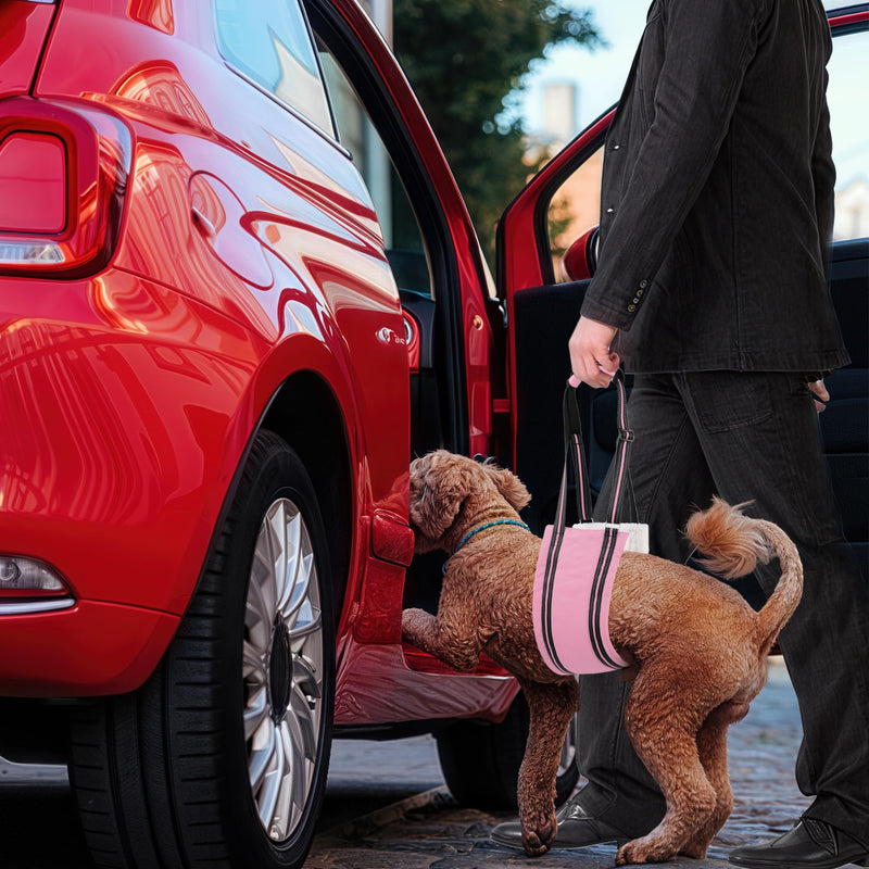 AIITLE Dog Carrier Sling Medium - Hind Leg Support Sling with Hip Padding, Rehab Mobility Aid for Senior/Disabled Dogs, Orthopedic Injury & ACL Surgery Recovery (Pink, M) Pink - PawsPlanet Australia