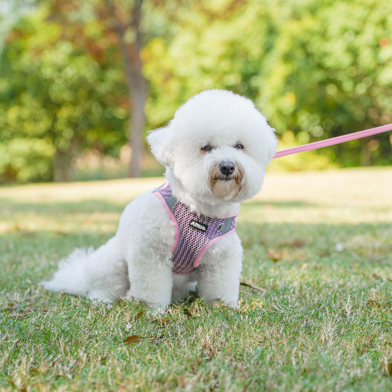AIITLE Dog Harness with Leash Set - All Weather Breathable Mesh, Reflective Stripes, Adjustable Escape Proof Pet Outdoor Harnesses for Medium Dogs Pink M M(Chest: 16 - 18") - PawsPlanet Australia