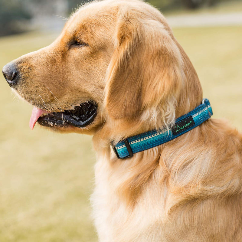 Martingale Dog Collar No Pull Pet Collar Heavy Duty Dog Martingale Collars Silky with Unique Geometric Pattern for Medium and Large Dogs (Large, Turquoise) Large: 17"-25", 1" Wide