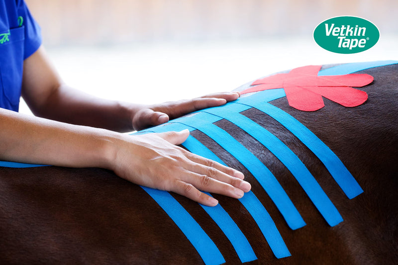 VETKIN VetkinTape® 2.4'' Veterinary Kinesiology Tape | Kinesiology Tape for Horses & Dogs | Equine & Canine Tape Pink - PawsPlanet Australia