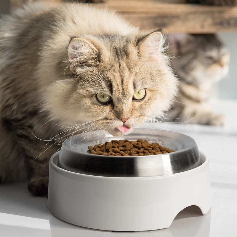 CatGuru Cat Bowls, Whisker Friendly Cat Food Bowl for Indoor Cats, Reliefs Whisker Fatigue, Wide Kitten Dish, Non Slip Pet Dishes, Shallow Pet Plates (Set of 2, Stainless Steel) 2 Count (Pack of 2) - PawsPlanet Australia