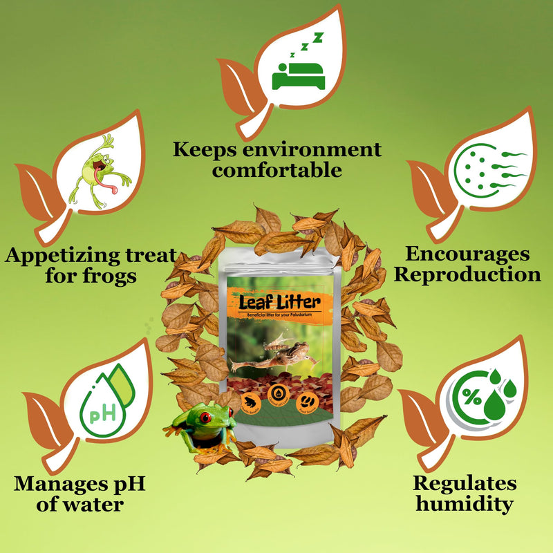 JOR 120 Pack Dwarf Frog Leaf Litter, Mini Indian Almond Leaves as Microfauna Habitat Tank Food Source, Substrate in Bioactive Terrarium & Vivarium Enclosure, Helps Tank Mimics Native Habitat - PawsPlanet Australia