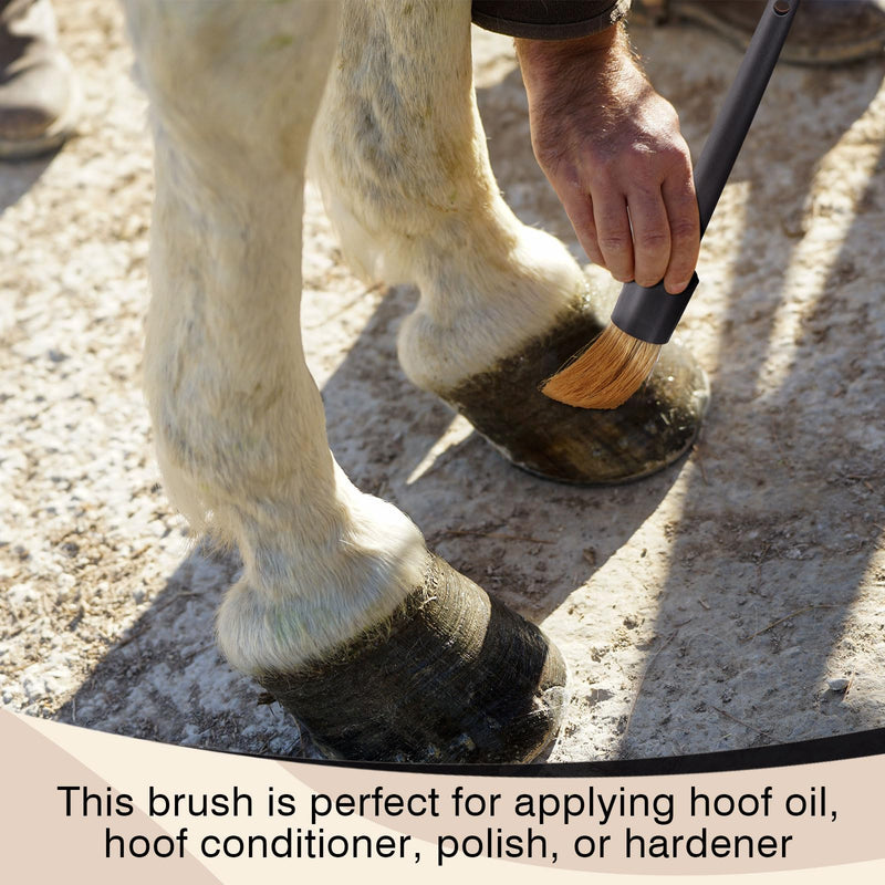 2 Set Hoof Oil Brush for Horses with Cap Black for Horse Hoof Care to Restore Dry and Fragile Hooves - PawsPlanet Australia