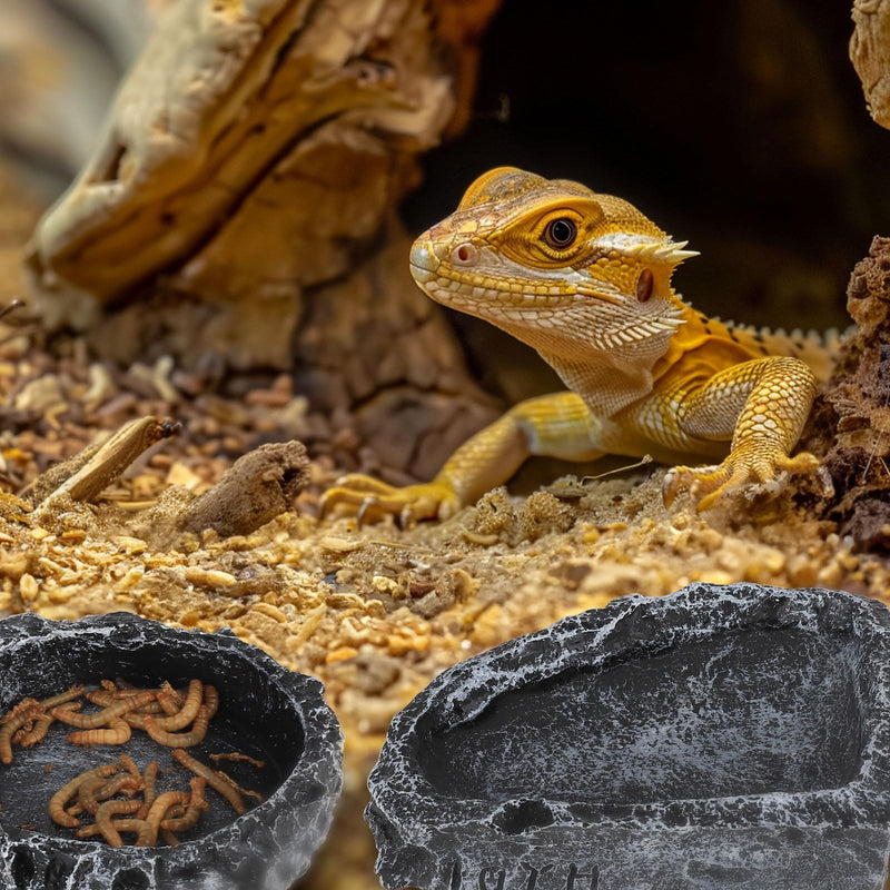 Reptile Water Dish Food Bowl for Bearded Dragon Tank Accessories, Hygger zoo Reptile Rock Feeder for Reptile Tank 2 Pack Corner Resin Terrarium Bowl for Leopard Gecko Hermit Crab Tortoise Snake, Black - PawsPlanet Australia