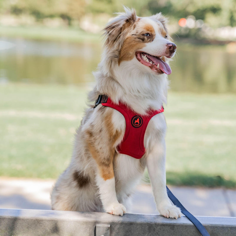 Gooby Escape Free Sport Harness - Pink, Small - No Choke Step-in Patented Neoprene Dog Harness with Four-Point Adjustment for Small to Medium Dogs Small chest (12.5-18.75")
