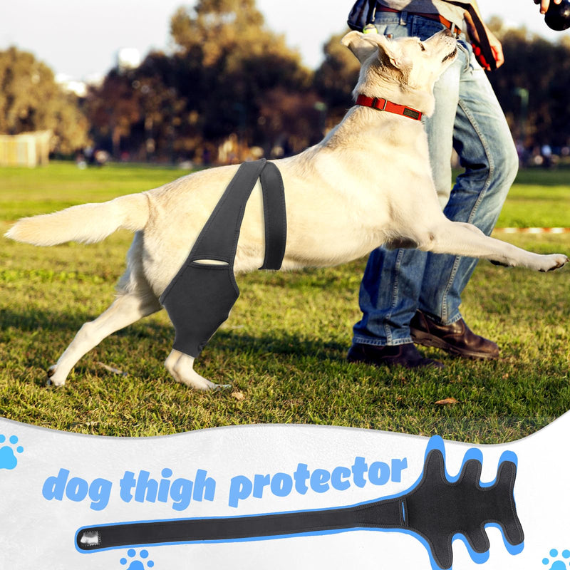 Dog Knee Brace for Torn Hind Leg or Back Leg, Adjustable Dog Leg Brace, Dog Hip Support Brace for Cruciate Ligament Injury Joint Pain Muscle Soreness, Better Recovery Brace Medium - PawsPlanet Australia