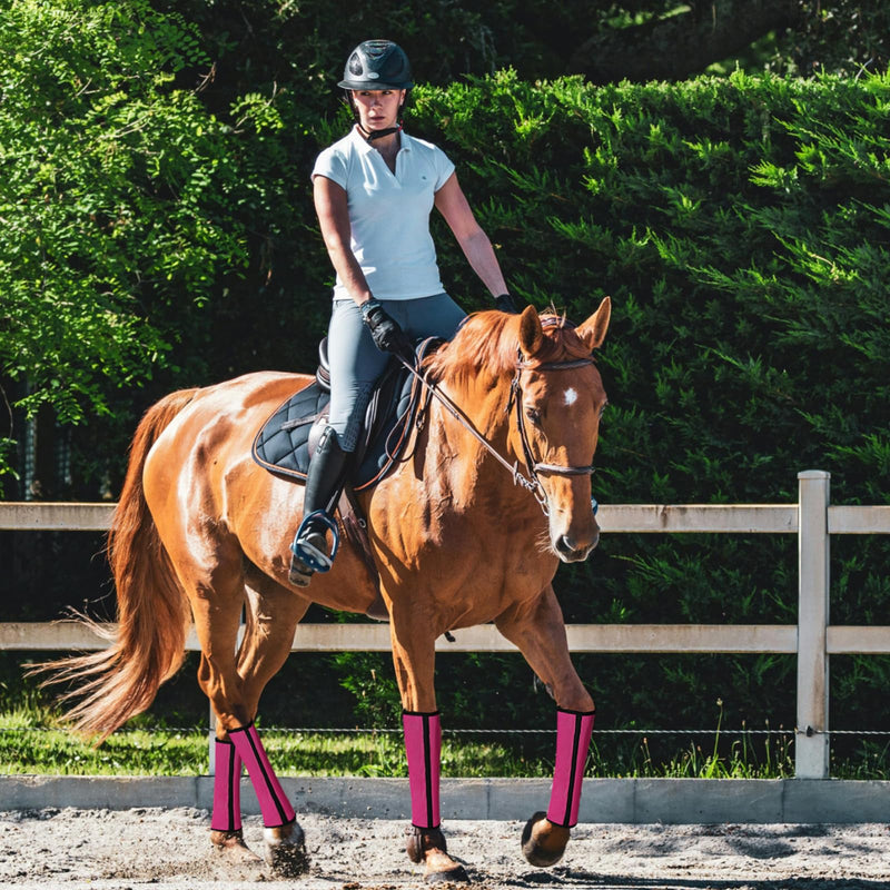 Fly Boots for Horses Set of 4 Breathable Textilene Mesh Horse Fly Boots with Stable Support & UV Protection, Comfortable Equine Boots, Reduces Stomping, Leg Fatigue & Hoof Damage(Magenta) Magenta - PawsPlanet Australia