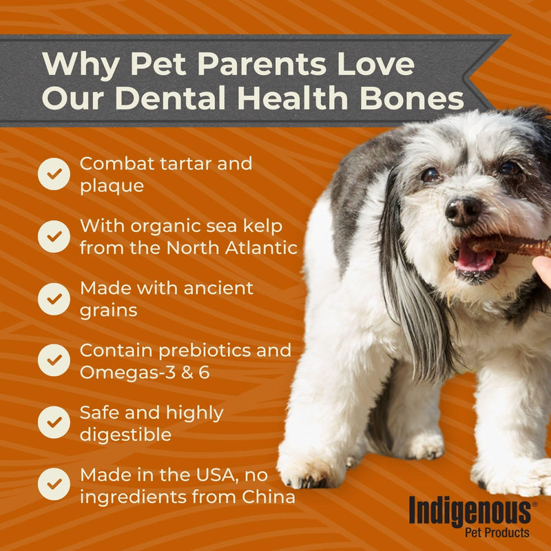 Indigenous Pet Dental Health Bones Mini 2 Pack – Original Fresh Breath (11.92 Ounce x 2) | Grain-Free Dog Chews with Prebiotics & Omegas | Freshens Breath, Supports Digestive, Skin & Coat Health | 11.92 Ounce (Pack of 2)