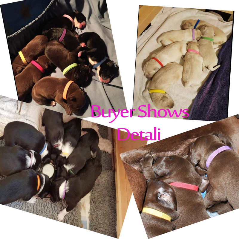 Whaline 15 Colors Puppy ID Collars Whelping Dog Band Newborn Soft Fabric Adjustable Identification Collar for Pet Dog Cat Colourful - PawsPlanet Australia