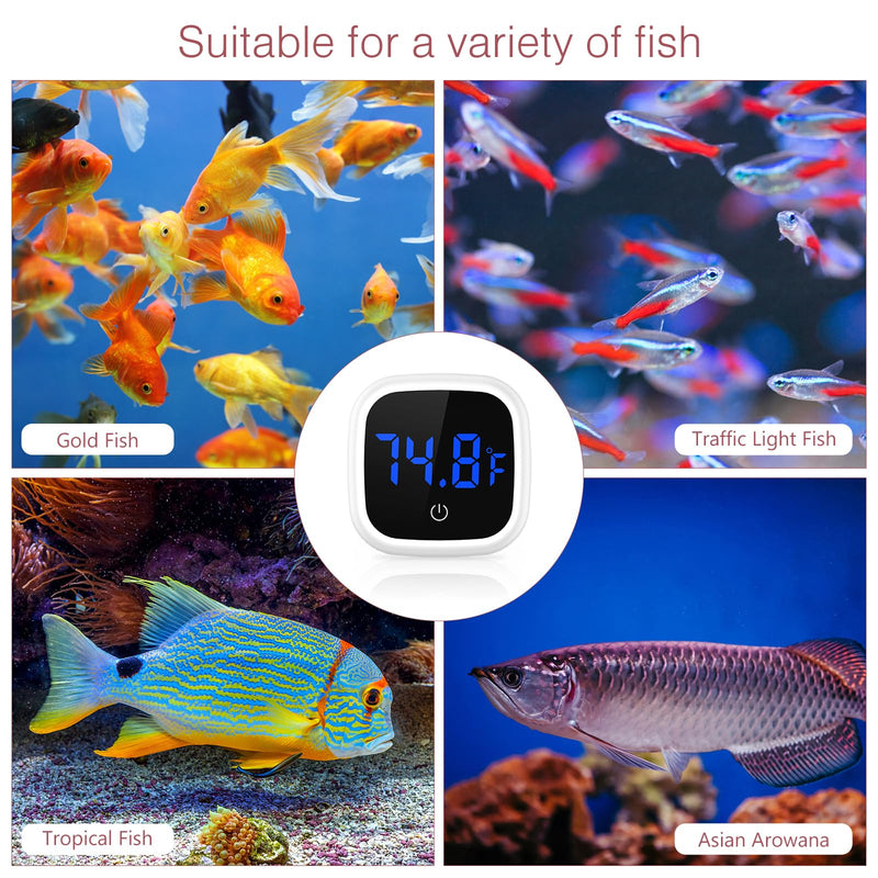 Digital Aquarium Thermometer, LED Fish Tank Thermometer, Stick-on Reptile Thermometer with Touch Screen, Large Numbers, Battery, for Fish, Axolotl, Turtle, Aquatic #1 PCS - PawsPlanet Australia