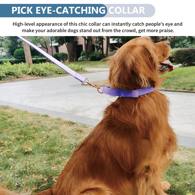 Soft Leather Martingale Dog Collar - Adjustable Rose Gold Limited Slip Collars [Easy to Clean], Stylish Durable Heavy Duty Nylon No Pull Training Collar for Small Medium Large Dogs M Purple M (Neck 14"-21", Width 1") - PawsPlanet Australia