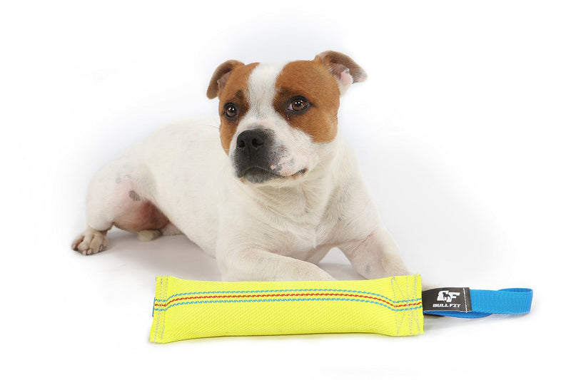 Dog Bite Tug Toy 10 inches - Durable, Interactive Toys for Medium to Large Dogs - Perfect for Tug of War, Fetch & Puppy Training - Safe Fire Hose Dog Tug with Strong Handle - Tough Floating Pull Toy - PawsPlanet Australia