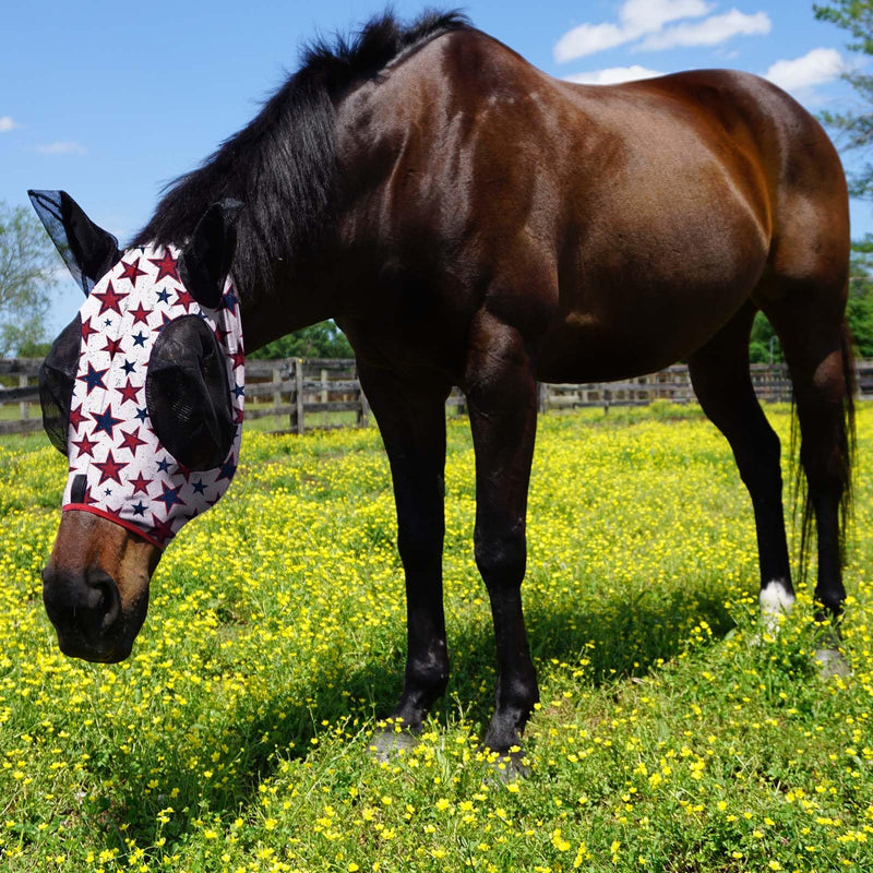 Harrison Howard Super Comfort Stretchy Fly Mask Large Eye Space with UV Protection Soft on Skin with Breathability Dream Star M Cob Cob (Medium) - PawsPlanet Australia