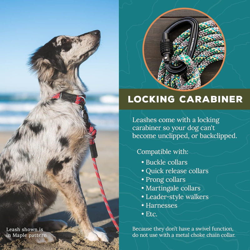Wilderdog Carabiner Climbing Rope Dog Leash for Medium & Large Dogs - 10ft - Pacific Blue - PawsPlanet Australia