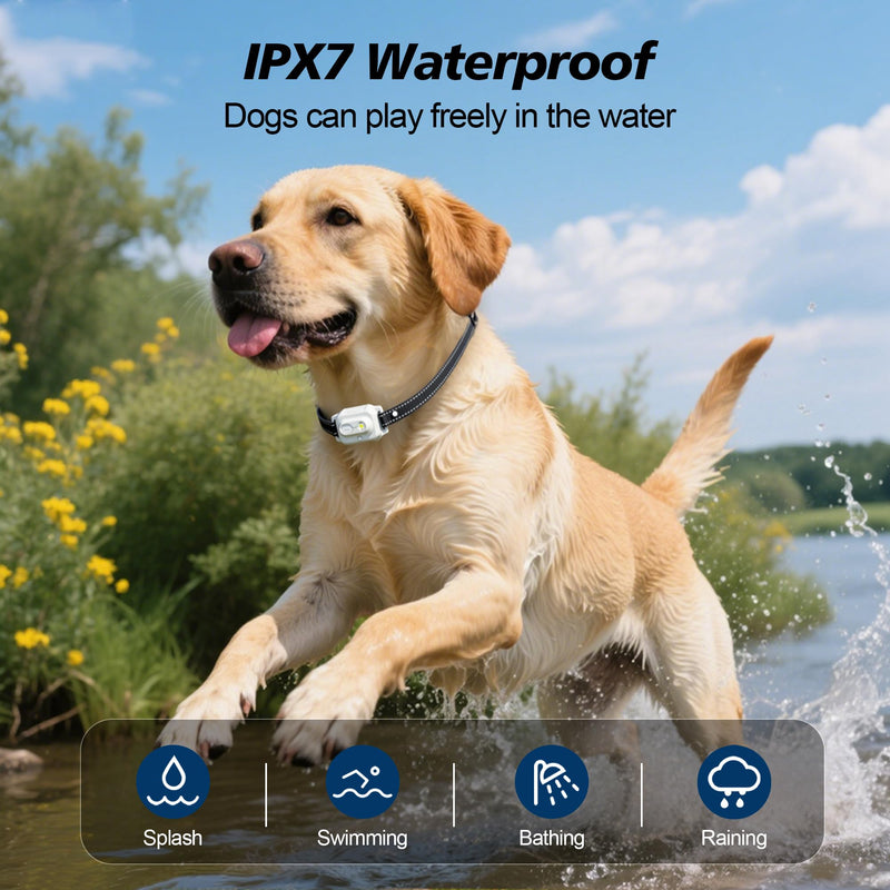 Dog Shock Collar - 3300 FT Remote Dog Training Collar, IP7 Waterproof, 4 Training Modes Lighting,Beep,Vibration,Safe Shock, Dual Channel E-Collar with Safety Lock for All Breeds (10-150 lbs) White - PawsPlanet Australia