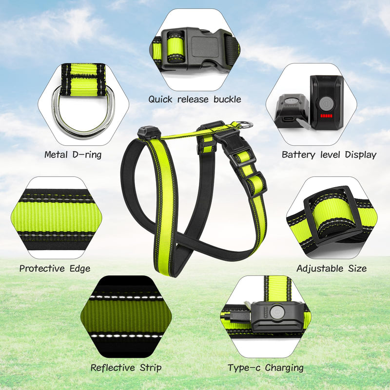 Light Up Dog Harness, Rechargeable LED Dog Harness, Glow in The Dark Dog Vest, Adjustable Pet Lights for Night Walking, Reflective Safety Vest for Medium Large Pet (Green, S) Green - PawsPlanet Australia