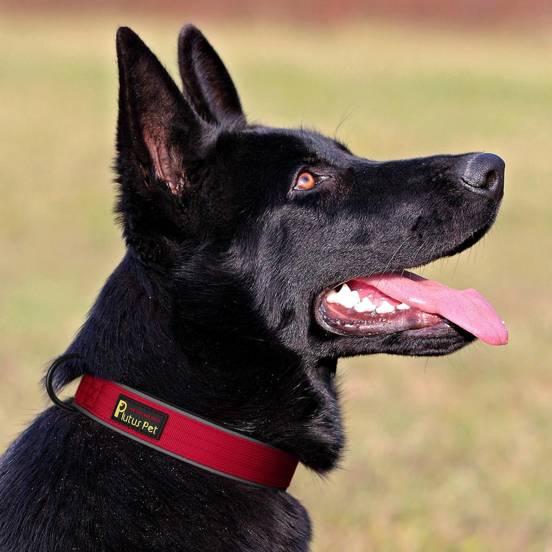 Plutus Pet Tactical Dog Collar, Reflective, Adjustable Heavy Duty Dog Collar, Soft Padded and Comfortable, for Small Medium and Large Dogs (Red, M) Red - PawsPlanet Australia