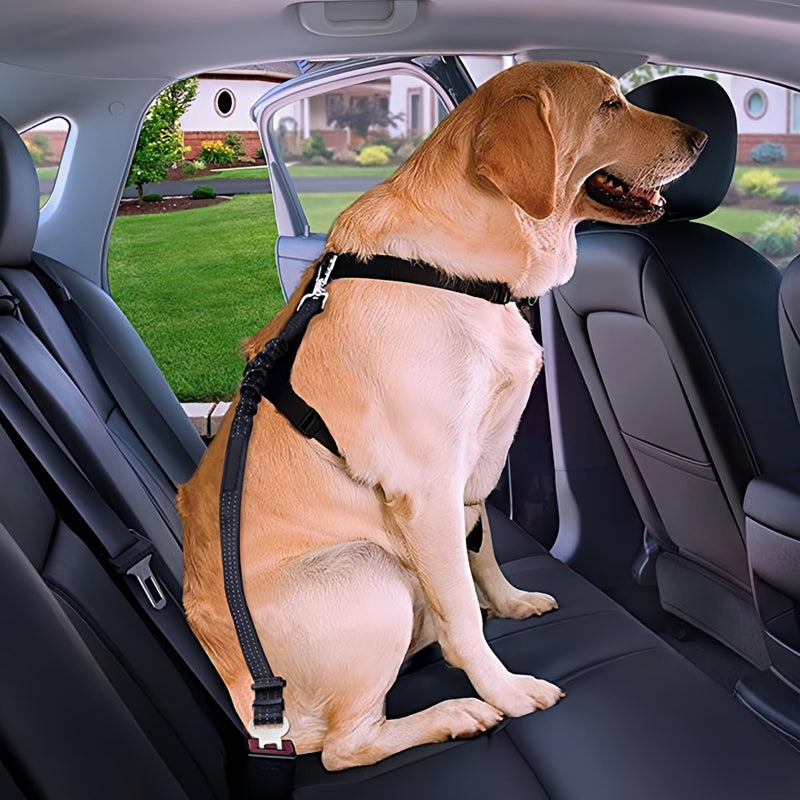 Dog Seat Belt for Car - Adjustable Dog Car Safety Harness, Elastic Cushioning Seatbelt Leash, Reinforced Metal Buckle Anti-Tangle Design, for Small and Medium Pets (Black) Black - PawsPlanet Australia